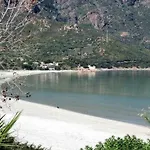 Azzurra *