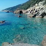 Azzurra * 테르테니아