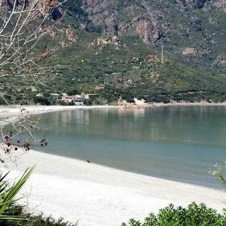 Azzurra *