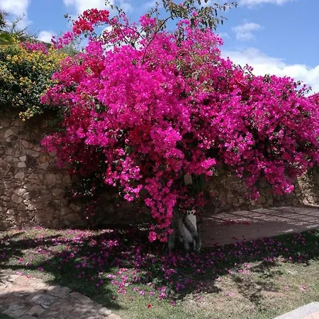 Azzurra Villa